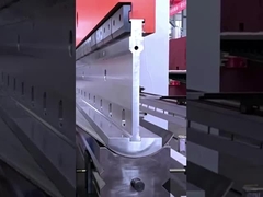 হালকা মেরু পেশাদার টুলিং/টুল/ছাঁচ